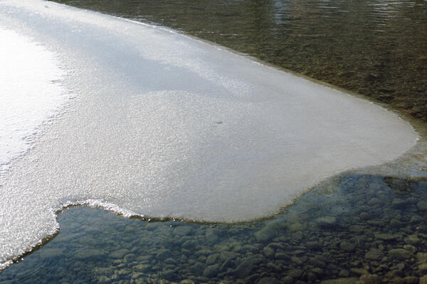Elbow River (Sandy Beach), Calgary, 2020