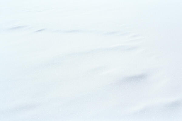 Elbow River, Bragg Creek, 2022