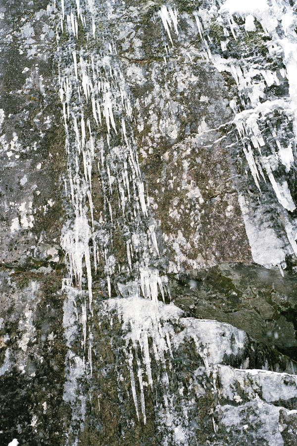 Icicles, Whistler, 2016