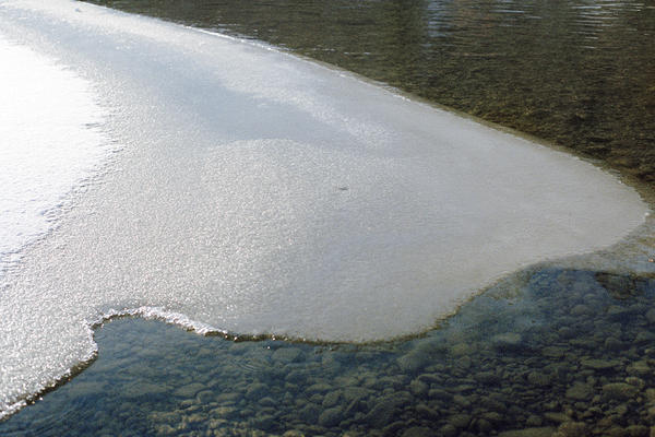 Elbow River (Sandy Beach), Alberta, 2020