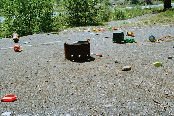 Scatter, Banff National Park, 2025