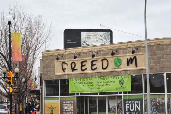 Blueberry Hill, Saskatoon Installation, 2017