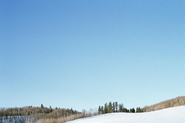 Snowfield, Bragg Creek, AB, 2020