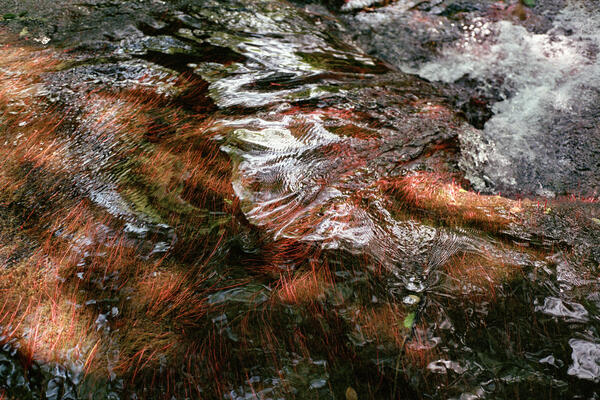 Burble, Calgary, 2021