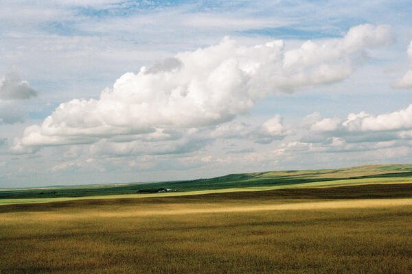 Clouds, Alberta, 2016