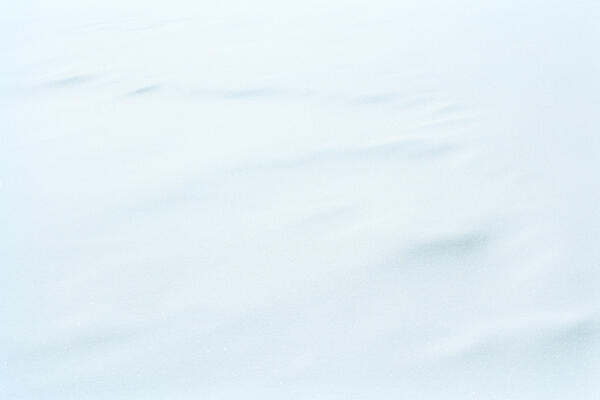 Elbow River (Sandy Beach), Calgary, 2023