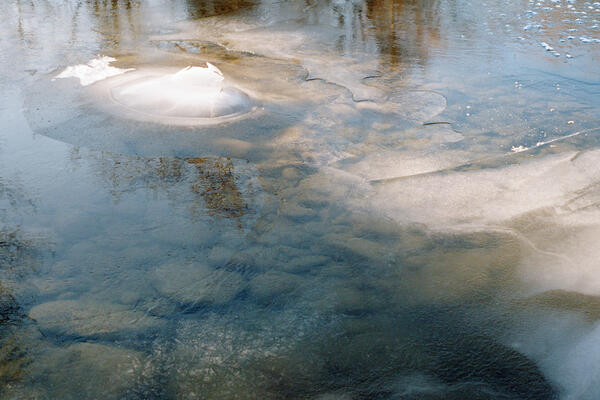 Elbow River (Riverdale), Calgary, 2020