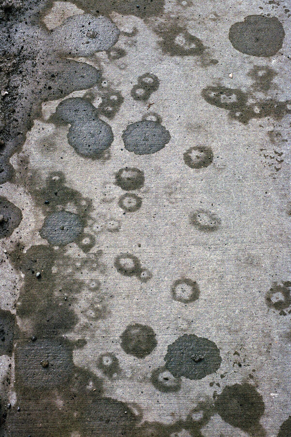 A Record of Thaw: Road Salt, Toronto, 2022