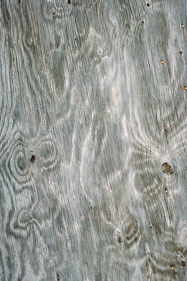 Barn Door, Lethbridge, 2025