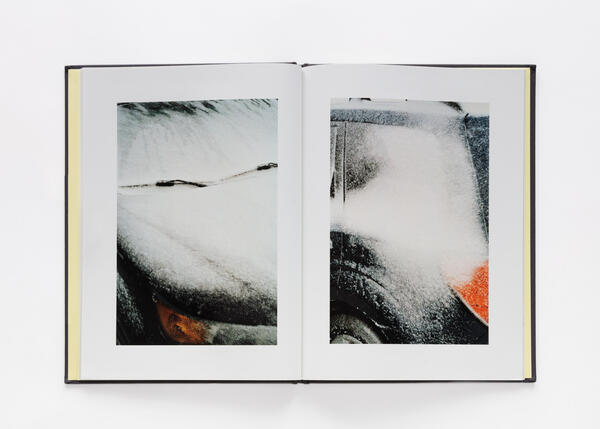 Seth & Sheila Stayed Behind, Published by New Documents, 2015