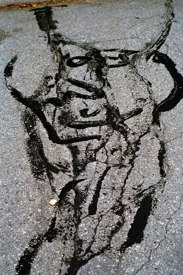 Reflection Cracking, Whistler BC, 2019