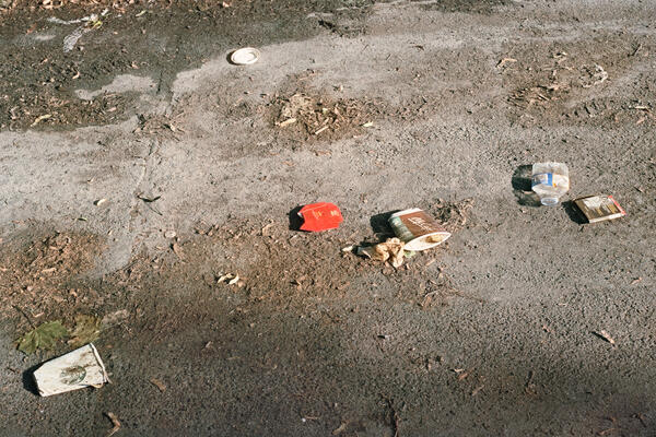 Litter (Michener Court), Toronto, 2023