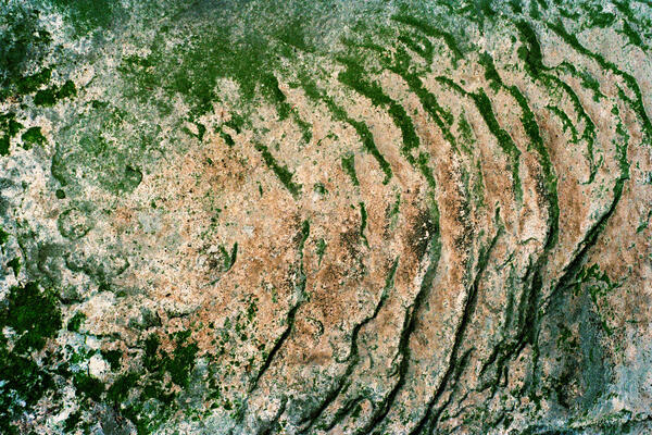 Rock Face, West Coast Trail, BC, 2023