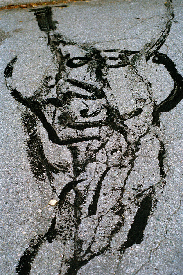 Reflection Cracking, Whistler, 2019