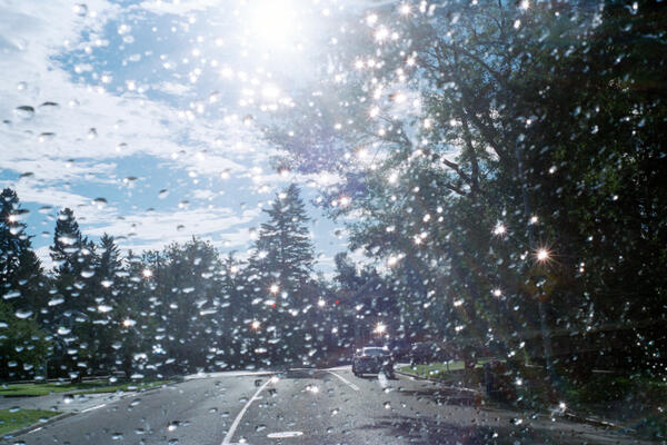 Windshield, Calgary, 2016