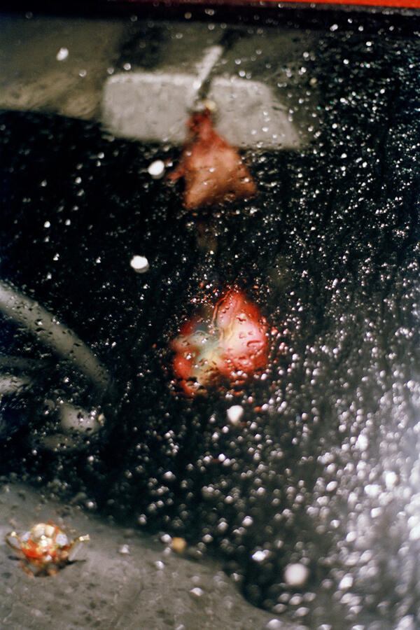 Windshield, London, UK, 2010